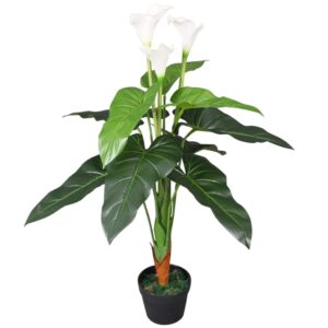 Zantedeschia Kalla Lilie Zimmerpflanze Blühpflanze künstliche Lilie