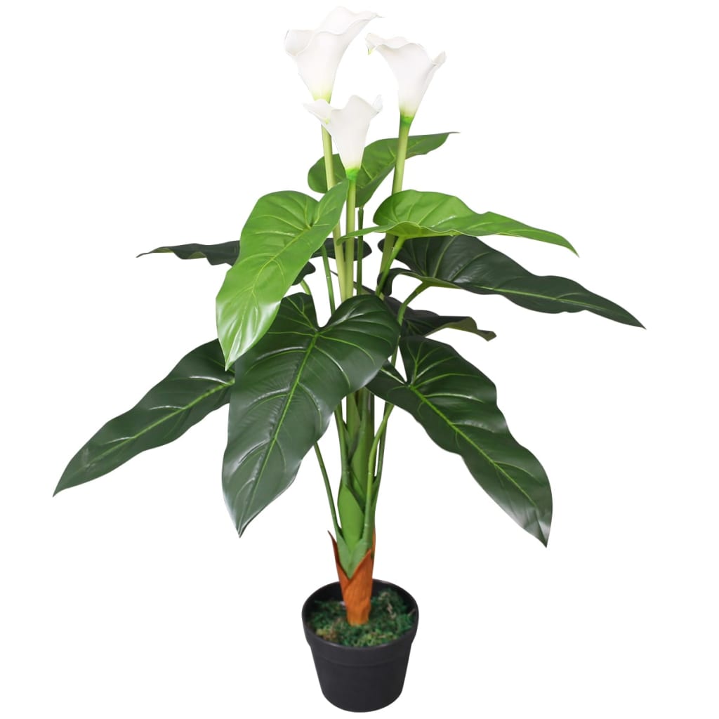 Zantedeschia Kalla Lilie Zimmerpflanze Blühpflanze künstliche Lilie