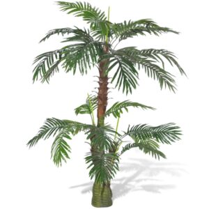 Cycadaceae Cycas Palmfarne Zimmerpalme Büropflanze Deko Palme getopft