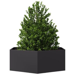 TOP Blumenkübel Pflanzkübel Sechseckig Blumentopf Stahl Kräuterbeet