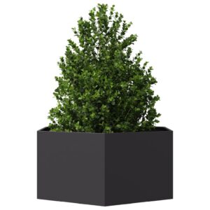 TOP Pflanzkübel Sechseckig Blumentopf Stahl Blumenkübel Kräuterbeet