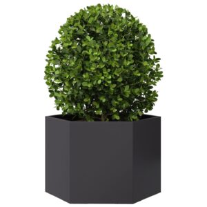 Robuster Pflanzkübel Blumentopf Hochbeet Blumenkübel 6 eckig