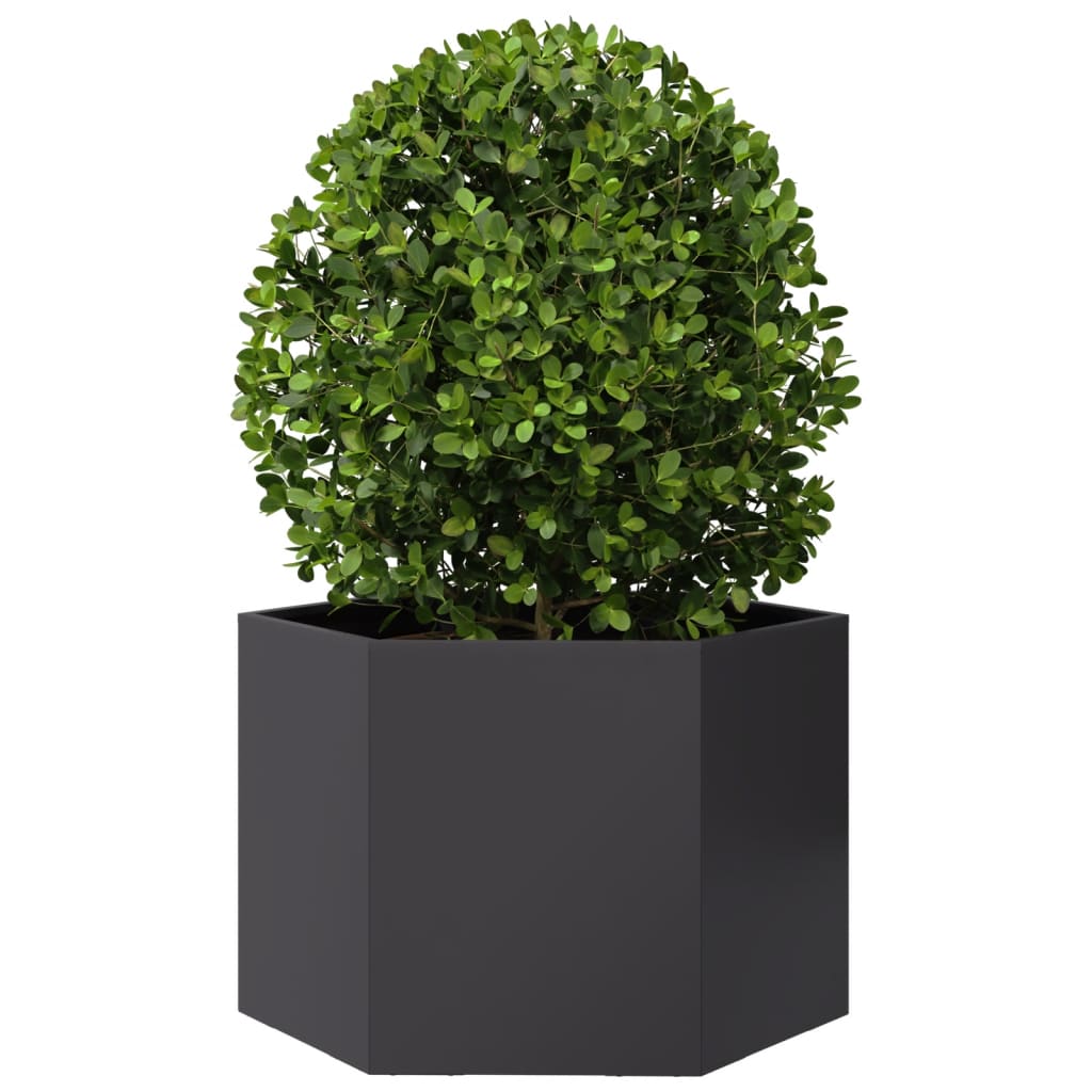 Robuster Pflanzkübel Blumentopf Hochbeet Blumenkübel 6 eckig