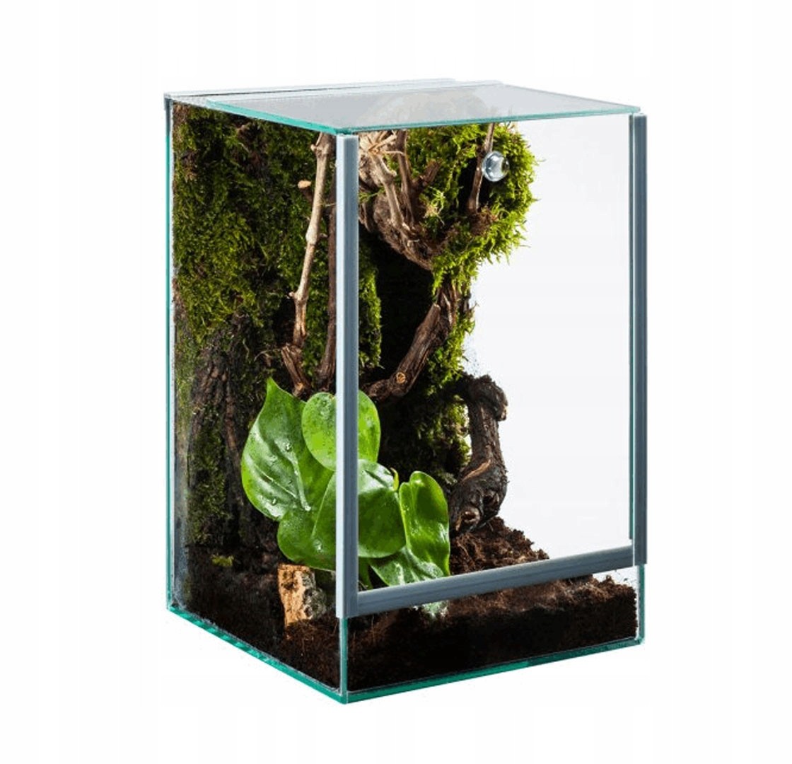 Glasterrarium Nano Terrarium 12l 20x20x30 Diversa für Spinnen