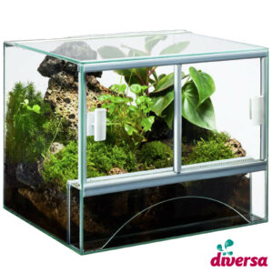 diversa Glas Terrarium 36 Liter Schiebetür
