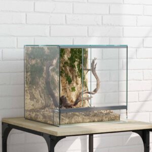 Terrarium Glasterrarium Reptilienhaltung Exotenterrarium versch. Größen
