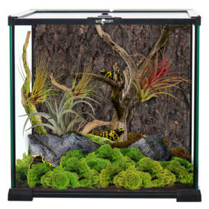 ReptiPlanet Terrarium Aquarium Paludarium
