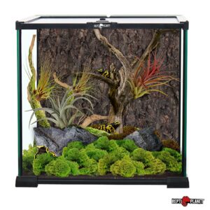 Repti Planet Terrarium Aquarium Paludarium