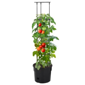 Tomatentopf mit Rankhilfe für kräftiges Wachstum und stabile Pflanzen