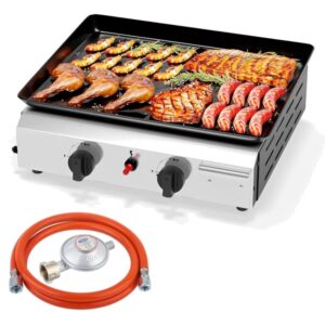 Gasgrill 2 Brenner 4 8kW portabel Edelstahl Garten Camping