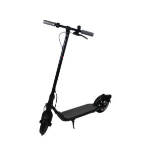 Ninebot by Segway F25E II Elektro Roller Kickscooter E Scooter faltbar