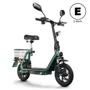TWOFISH M5 PRO 12" Elektroroller 48V 13AH Mit Straßenzulassung Scooter mit Sitz
